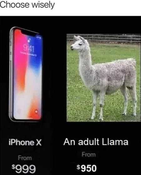 Funny Choose Wisely
