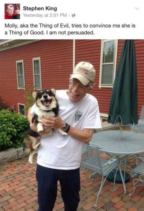 Funny Corgi Evil