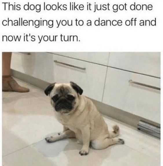 Funny Dance Challenge
