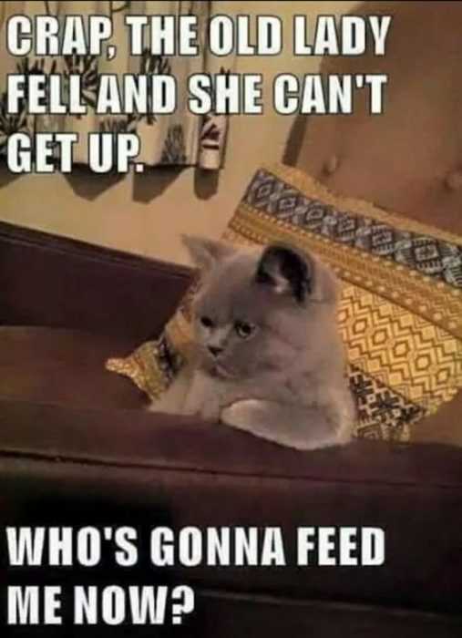 Funny Fell Off