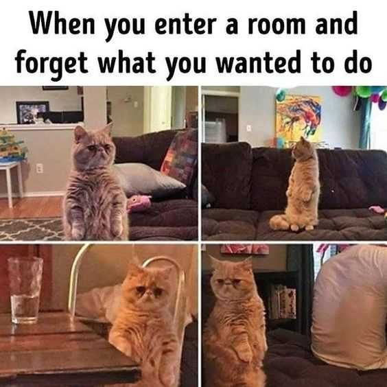 Funny Forgot