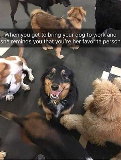 Funny Good Person