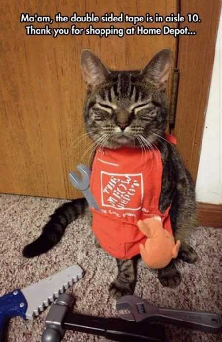 Funny Home Depot