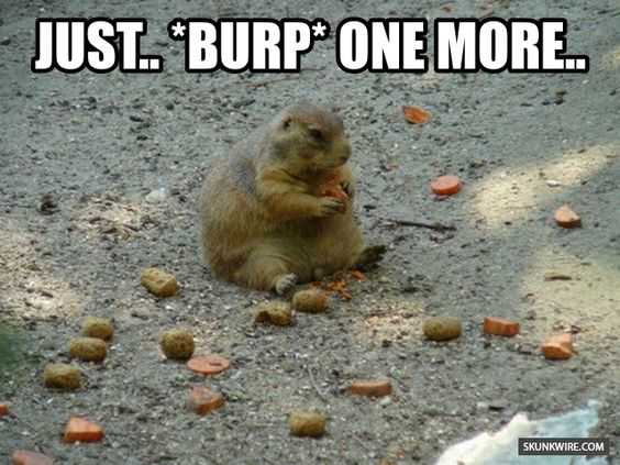 Funny One More
