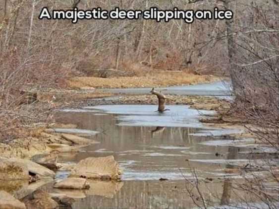 Funny Slip Ce