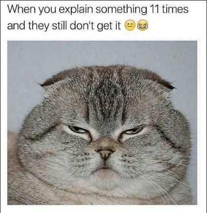 Funny Something They