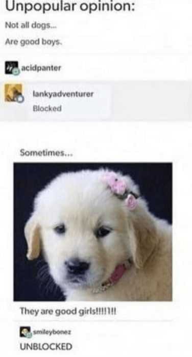 Funny Sometimes Good Girls
