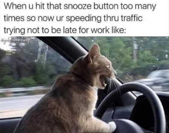 Funny Speeding Late
