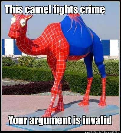 Funny Spiderman Camel