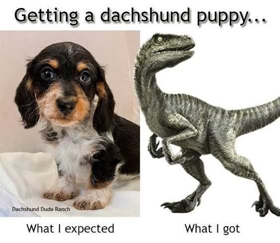 Funny What I