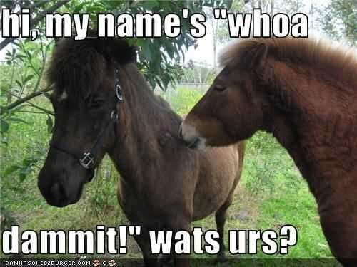 Funny Whoa Dam
