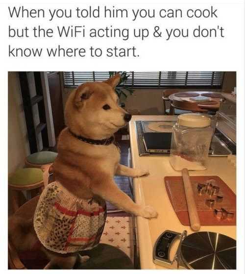 Funny Wifi