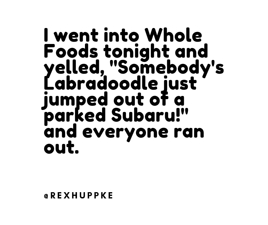 Into Whole Foods Tonight And Yelled Somebodys Labradoodle Just Jumped Out Of A Parked Subaru And Everyone Ran Out.