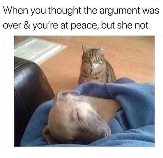 Meme Argument Over