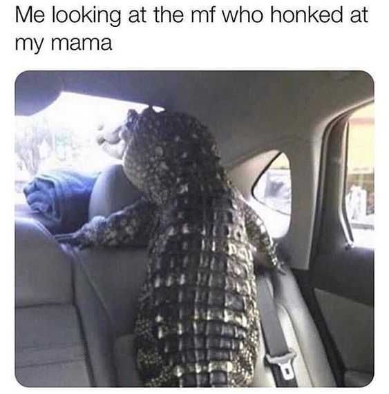 Meme Honked