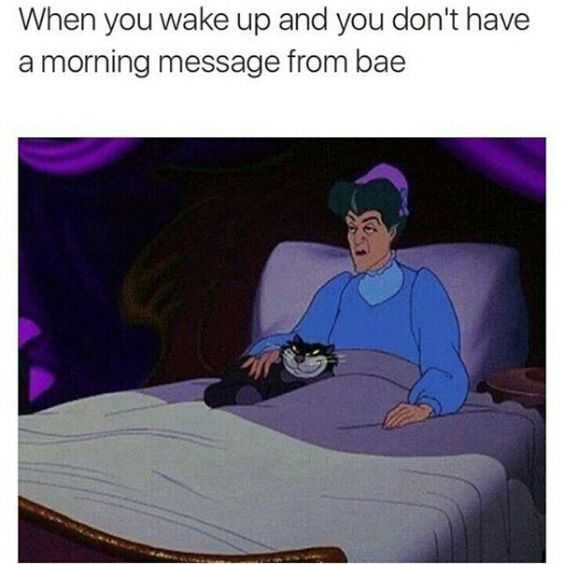 Meme Wake Up