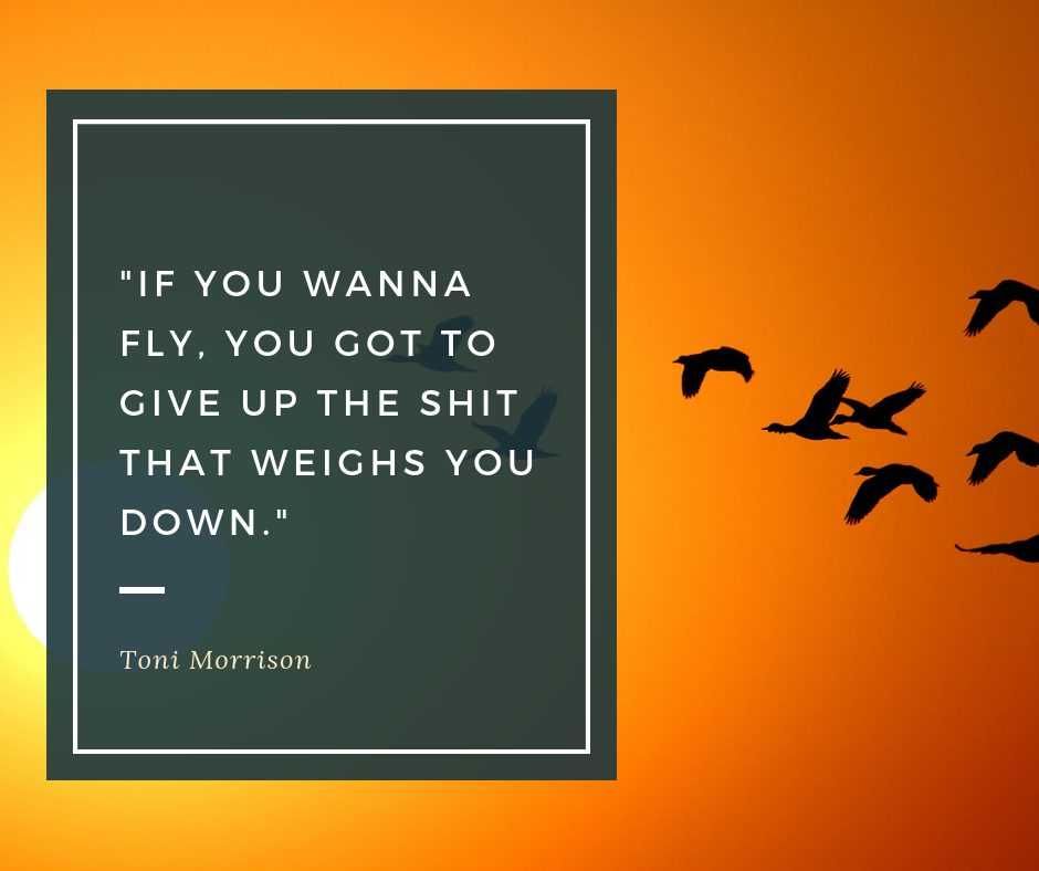 Quote Fly Give Up