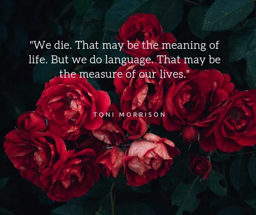 Quote We Die