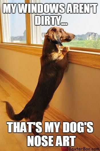 Snap Dog Nose Art