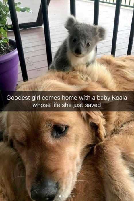 Snap Good Girl