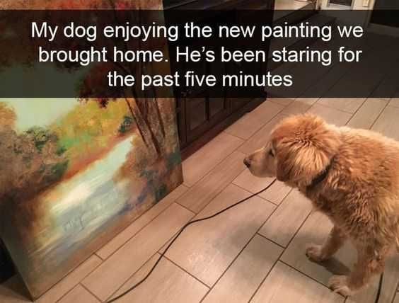 Snap Painting