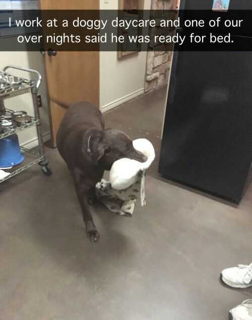Snap Ready For Bed