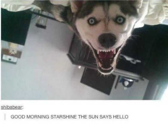 Snap Star Shine