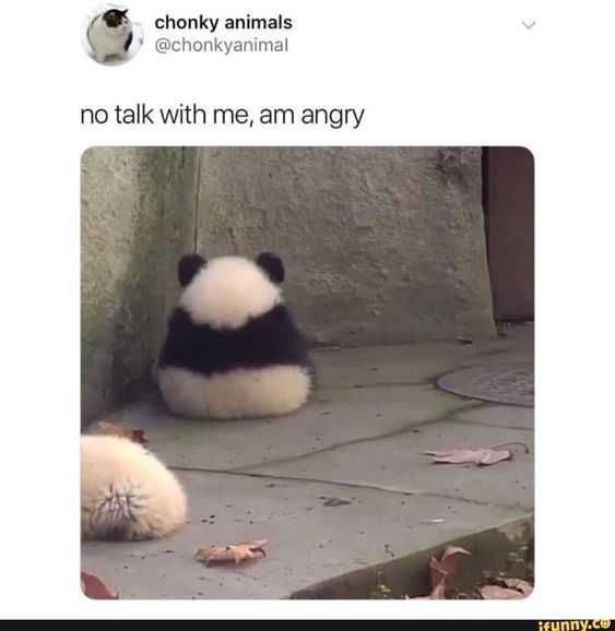 Angy No Talk