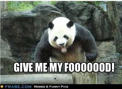 Animal Give Me Food