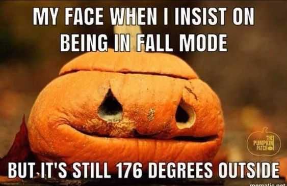 Fall Fall Mode