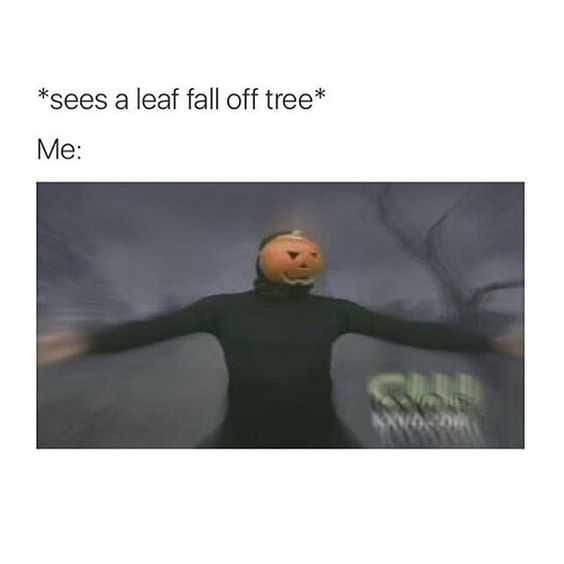 Fall Sees Leaf