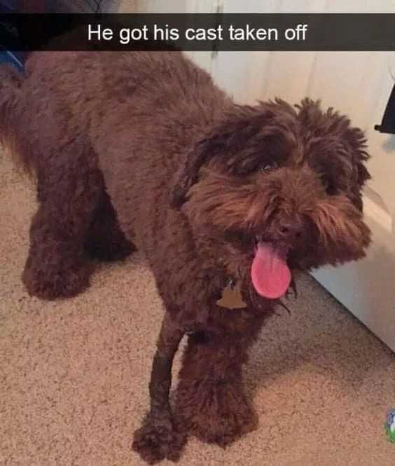 Funny Cast Off
