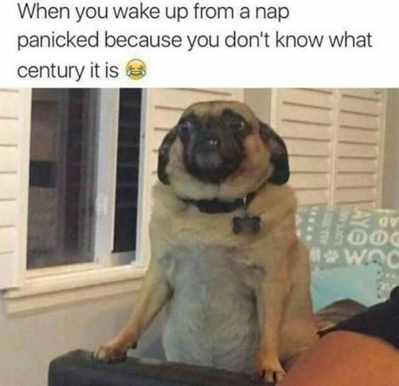 Funny Century