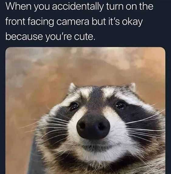 Funny Cute