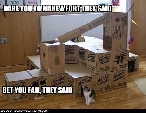 Funny Dare Fort
