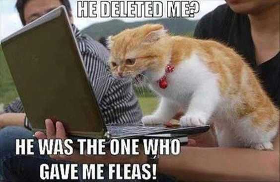 Funny Deleted Me