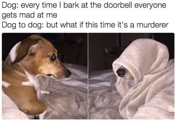 Funny Every Time