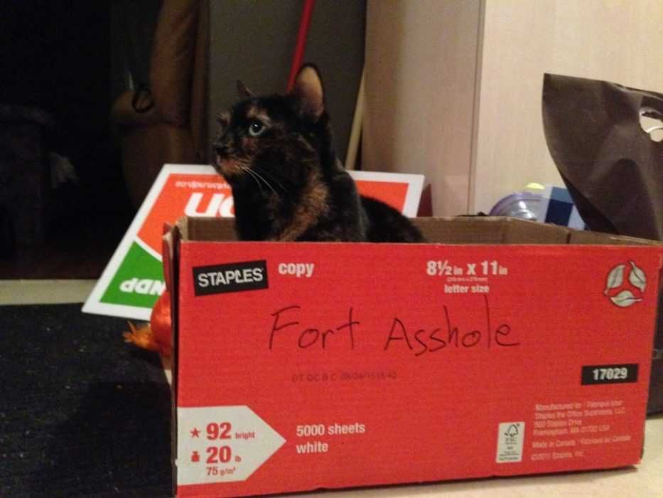 Funny Fort