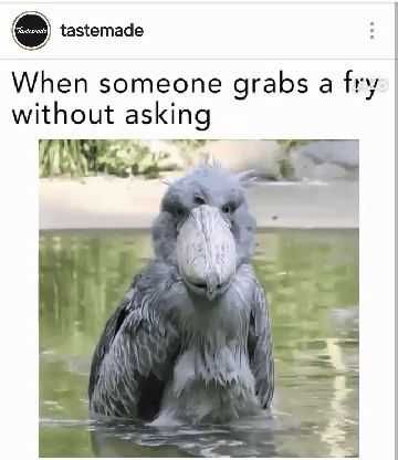 Funny Fry