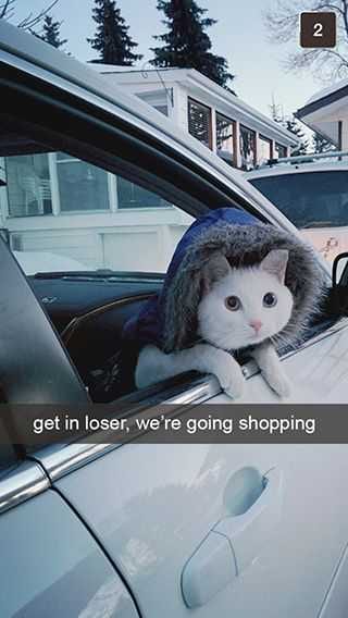 Funny Get In