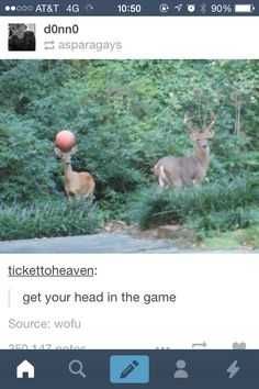 Funny Head In Game