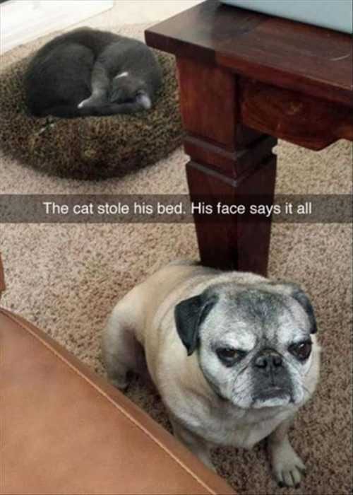 Funny His Face
