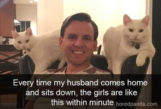 Funny Husband Girls
