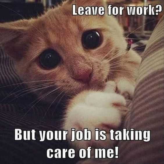 Funny Leave For Work