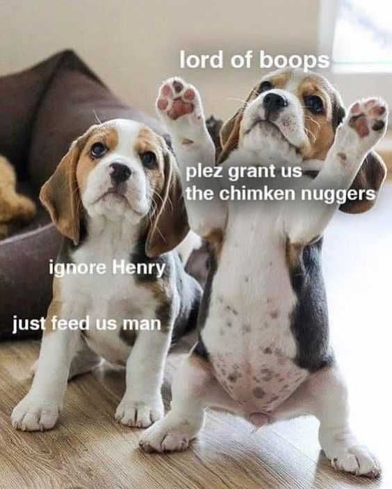 Funny Lord Of Boops