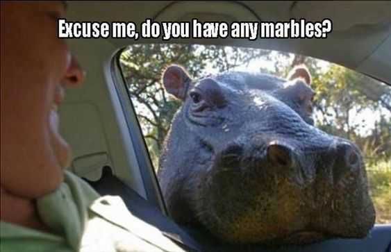Funny Marbles Hippo