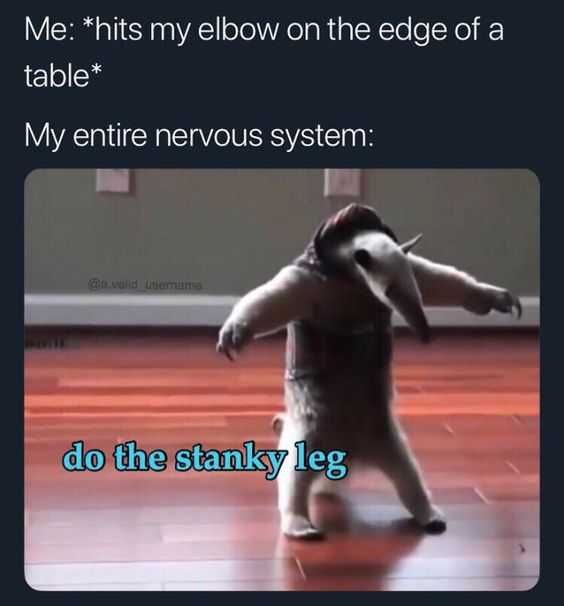 Funny Me Entire