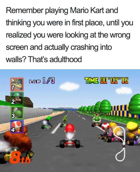 Funny Meme Adulthood