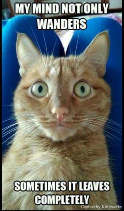 Funny Mind Wanders