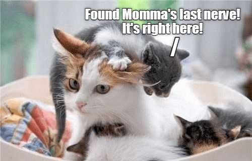 Funny Mommanerve
